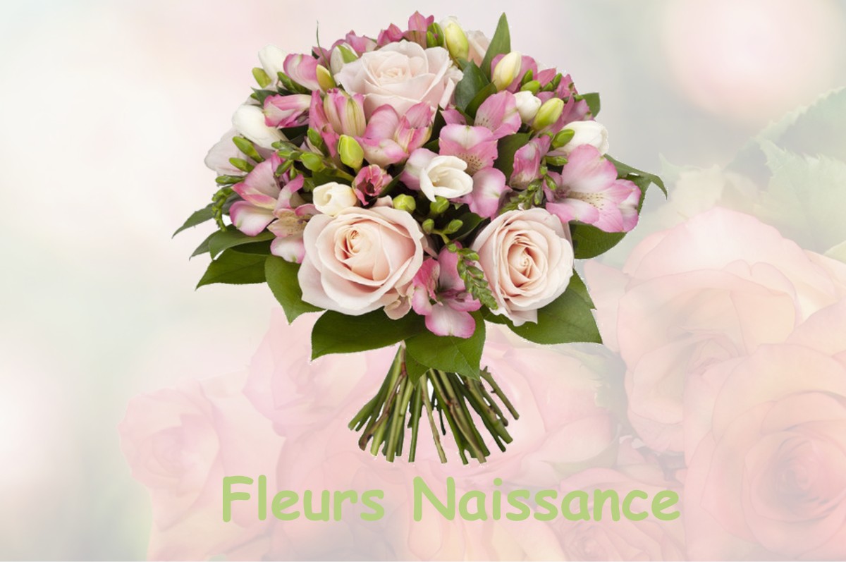 fleurs naissance SAINT-LAURENT-DE-BREVEDENT