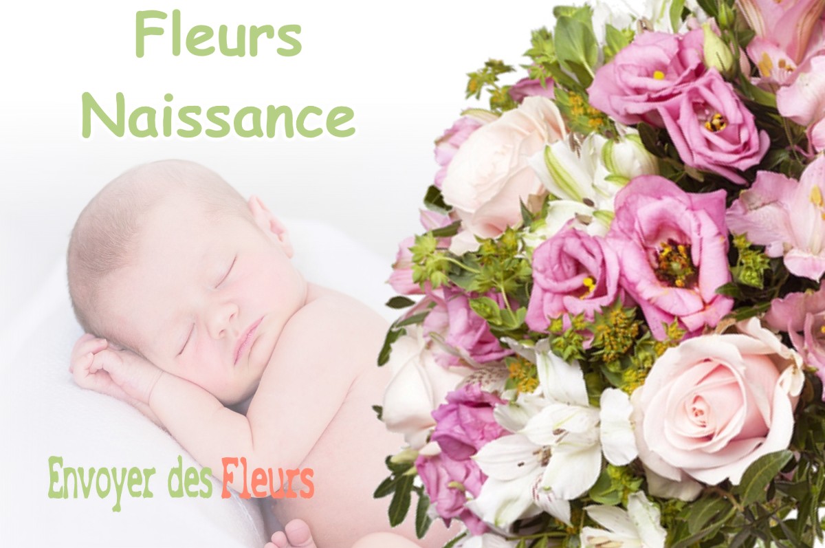 lIVRAISON FLEURS NAISSANCE à SAINT-LAURENT-DE-BREVEDENT